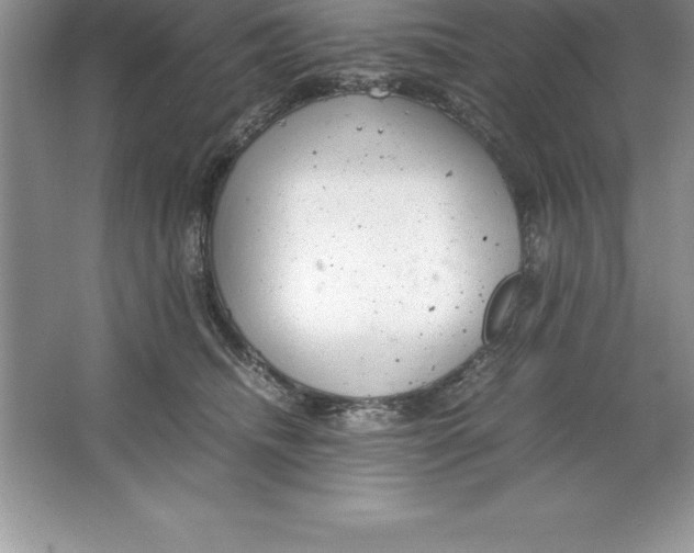 X0000064750468200603031738