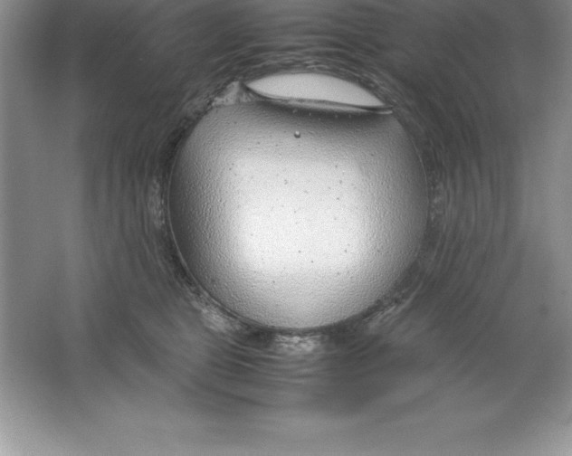 X0000064750469200603031738