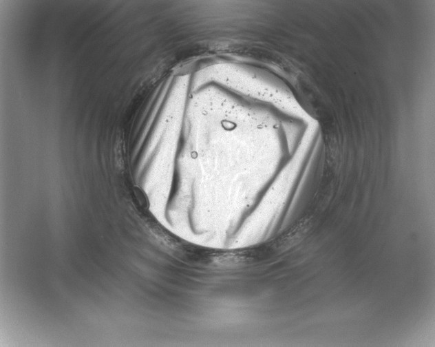 X0000064750470200603031738