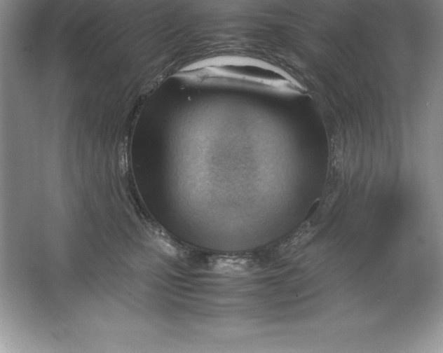 X0000064750471200603031738