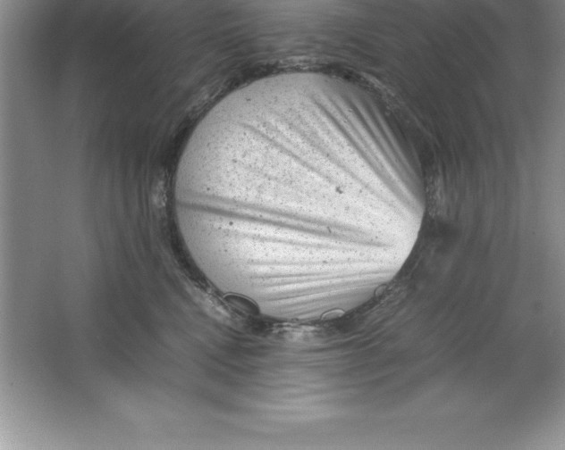 X0000064750472200603031738