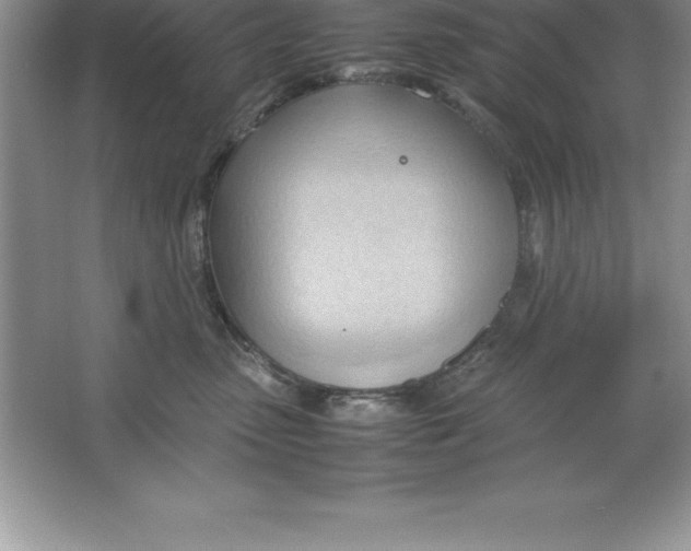 X0000064750475200603031738