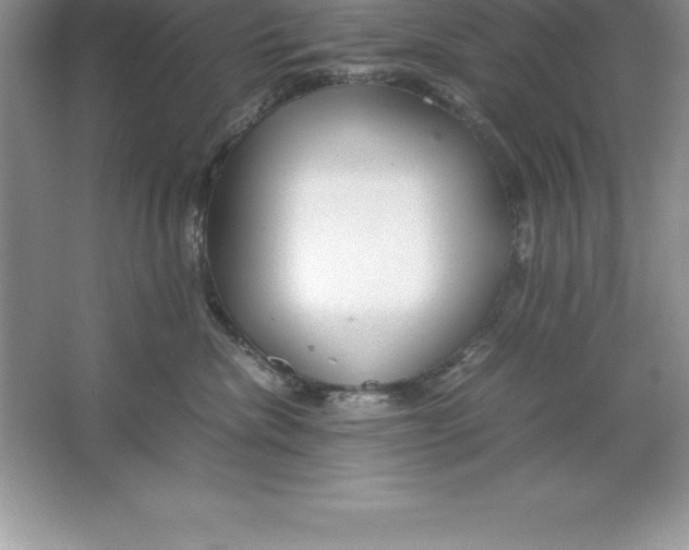 X0000064750476200603031738