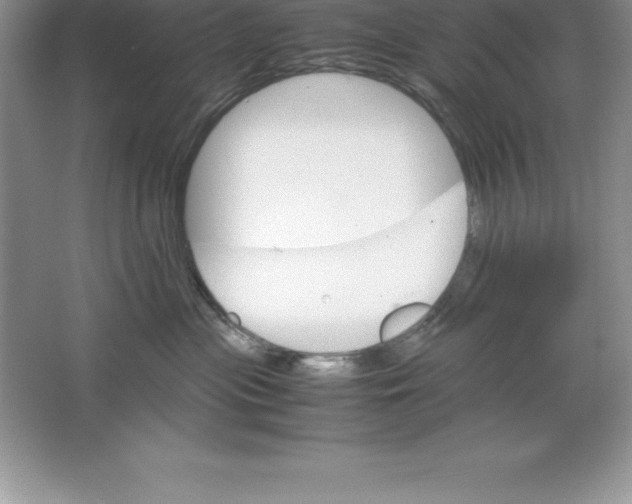 X0000064750477200603031738