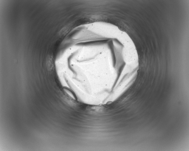 X0000064750478200603031738