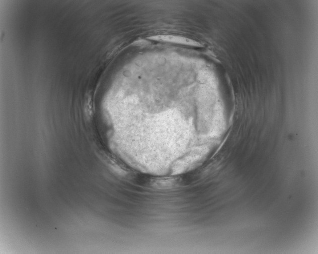 X0000064750479200603031738