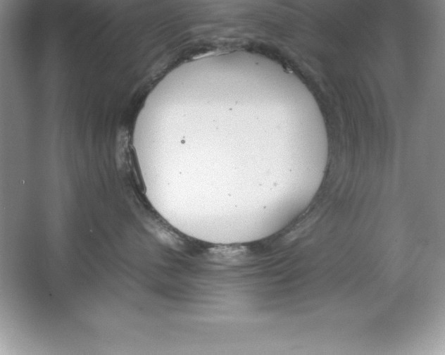 X0000064750480200603031738