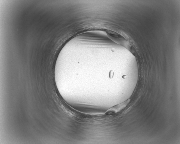 X0000064750481200603031737