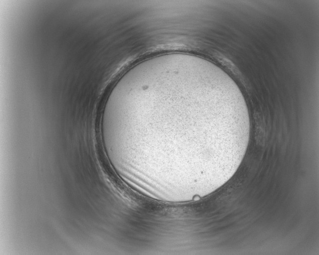 X0000064750482200603031737