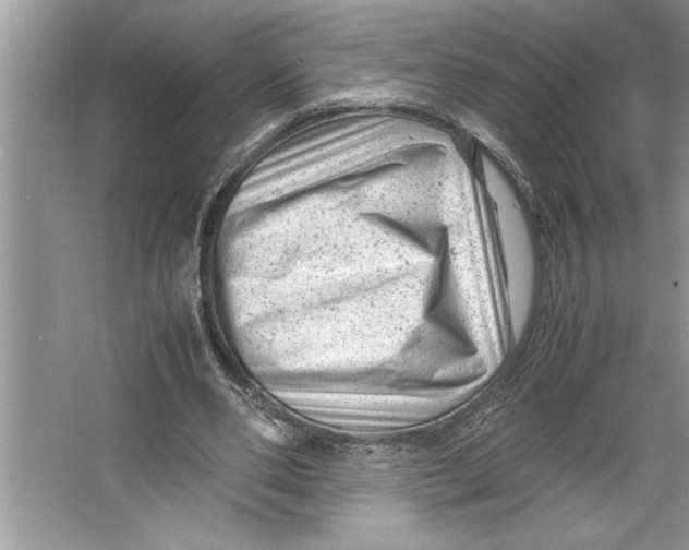 X0000064750486200603031737