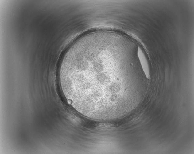 X0000064750487200603031737