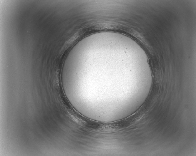 X0000064750489200603031737