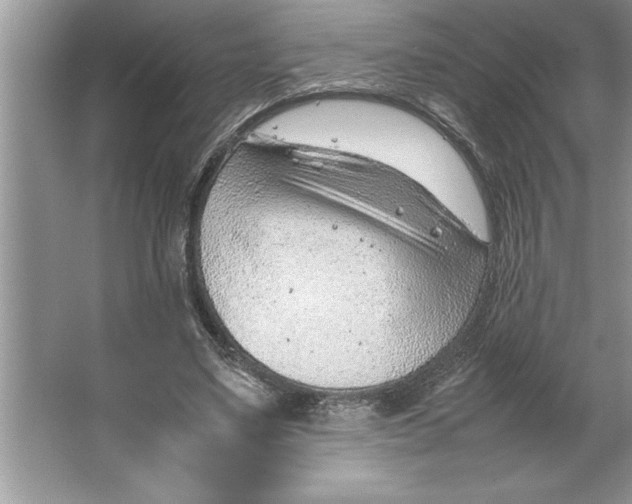 X0000064750491200603031737