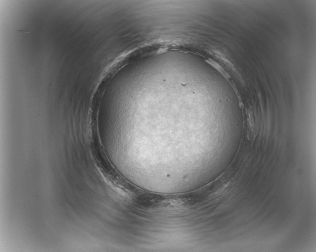 X0000064750492200603031737