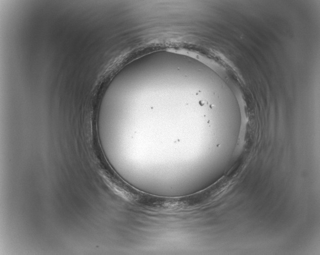 X0000064750493200603031737