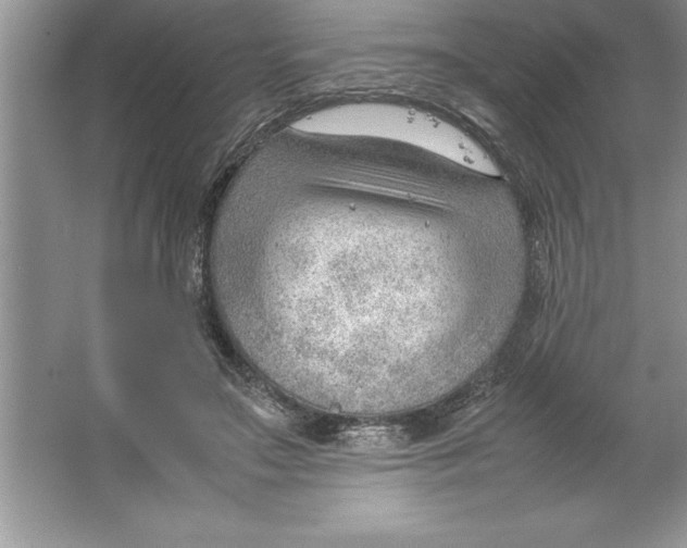 X0000064750499200603031737