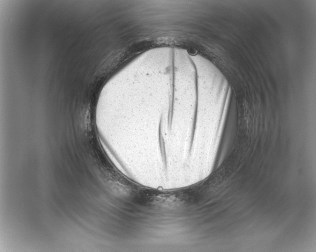 X0000064750502200603031737