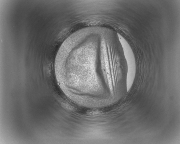 X0000064750503200603031737