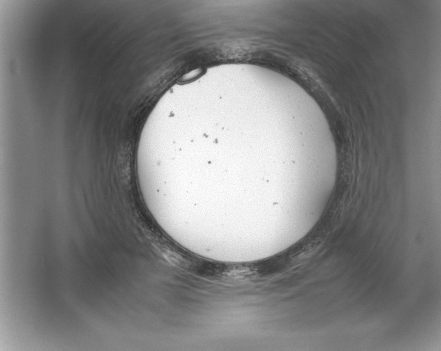 X0000064750505200603031737