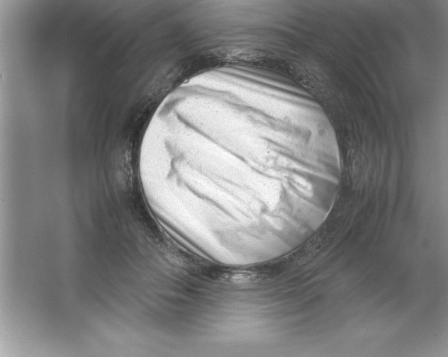 X0000064750506200603031737