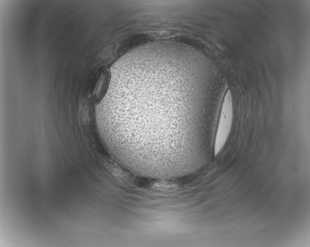 X0000064750515200603031737