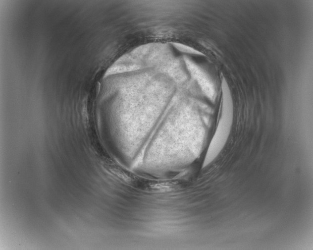 X0000064750516200603031737