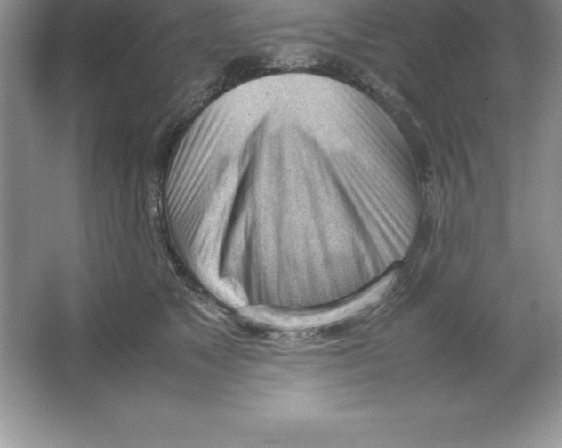 X0000064750517200603031737