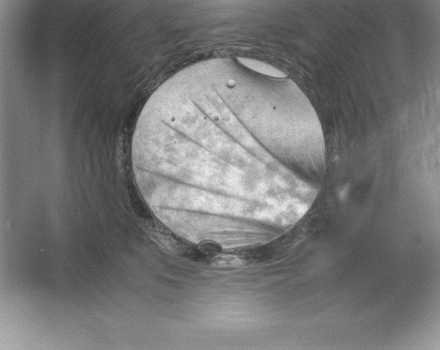 X0000064750519200603031737