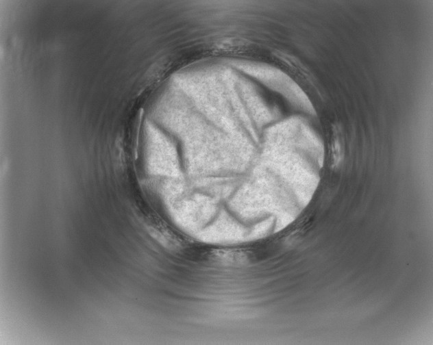 X0000064750520200603031737