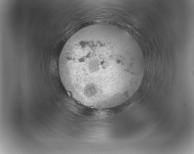 X0000064750523200603031737