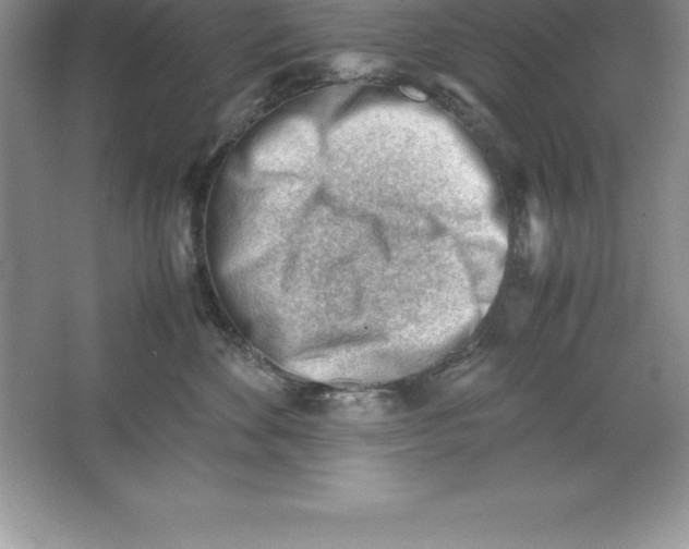 X0000064750524200603031737