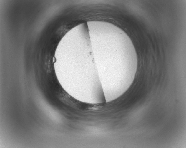 X0000064750525200603031737