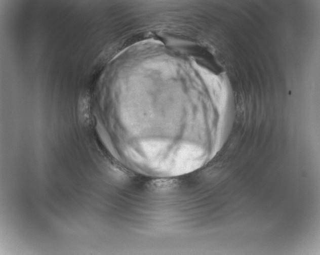 X0000064750526200603031737