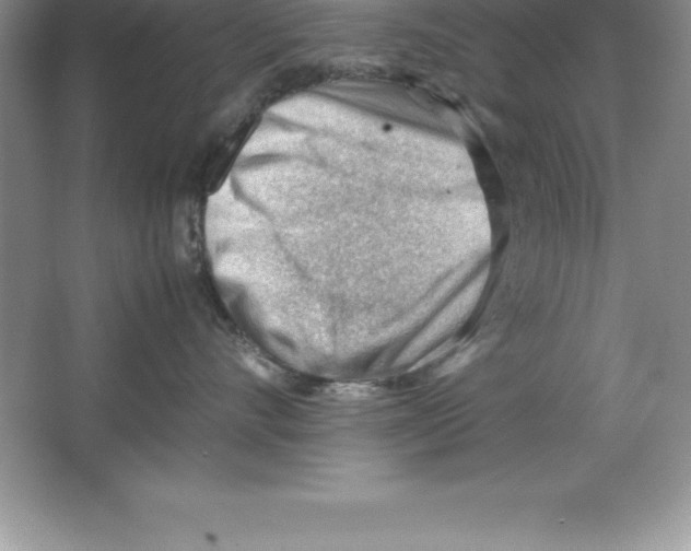 X0000064750528200603031737