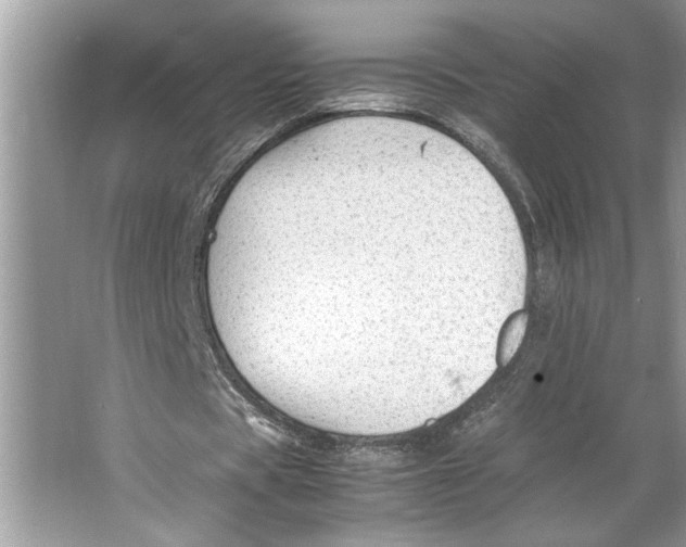 X0000064750529200603031736