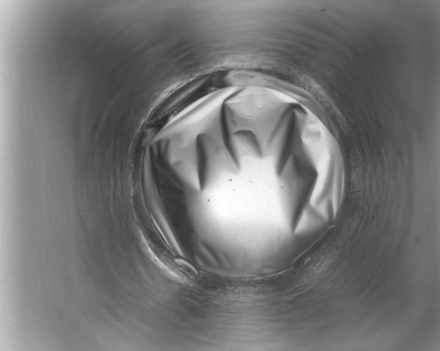 X0000064750530200603031736