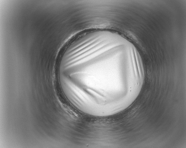 X0000064750532200603031736