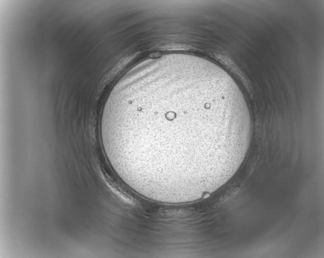 X0000064750533200603031736