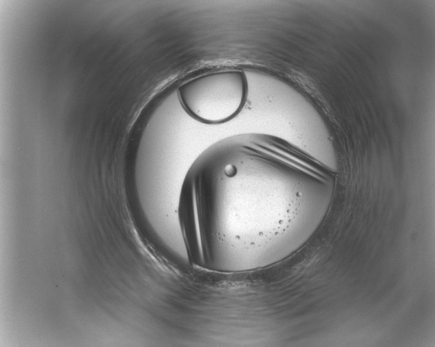 X0000064750534200603031736