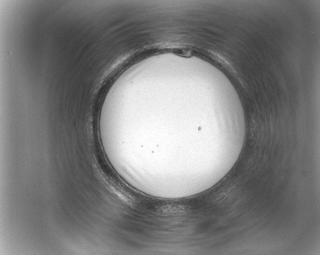 X0000064750535200603031736