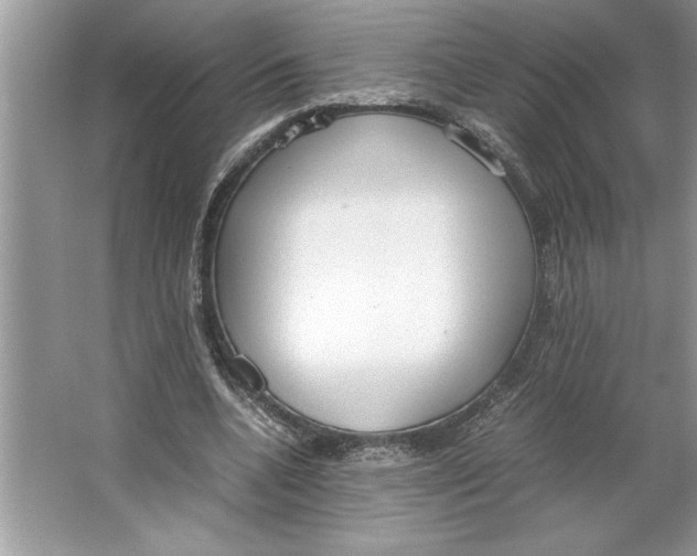 X0000064750536200603031736