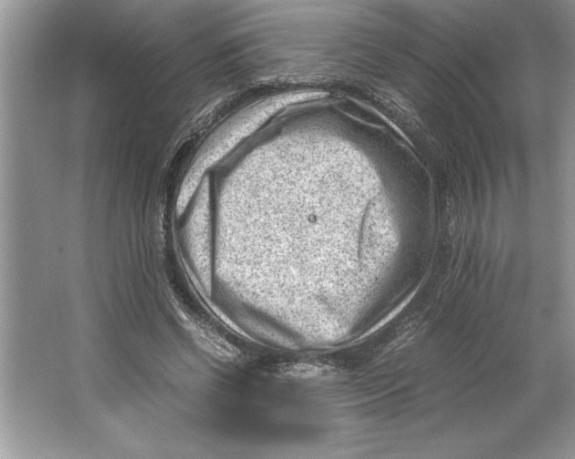 X0000064750542200603031736