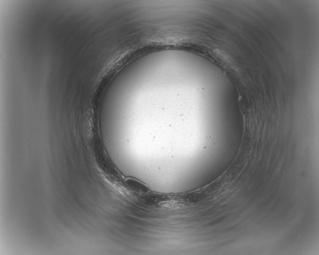 X0000064750544200603031736