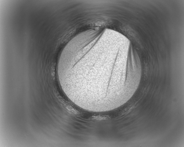 X0000064750545200603031736