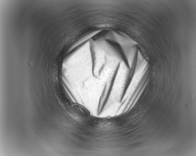 X0000064750547200603031736