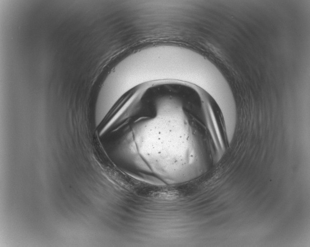 X0000064750548200603031736