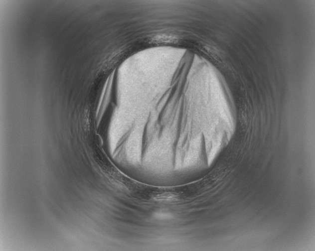 X0000064750551200603031736