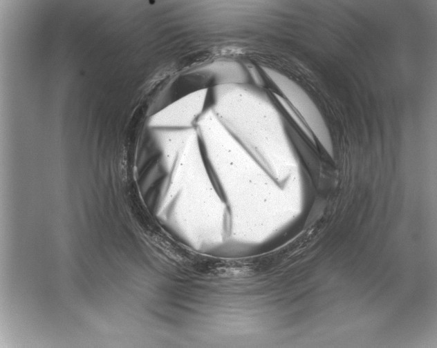 X0000064750552200603031736