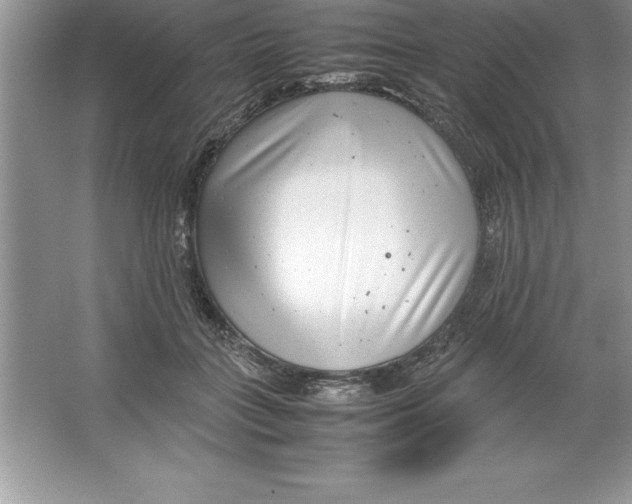 X0000064750555200603031736