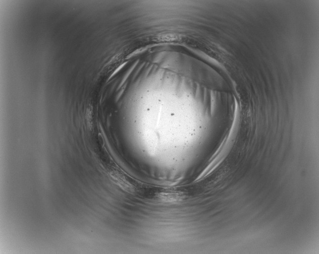 X0000064750556200603031736